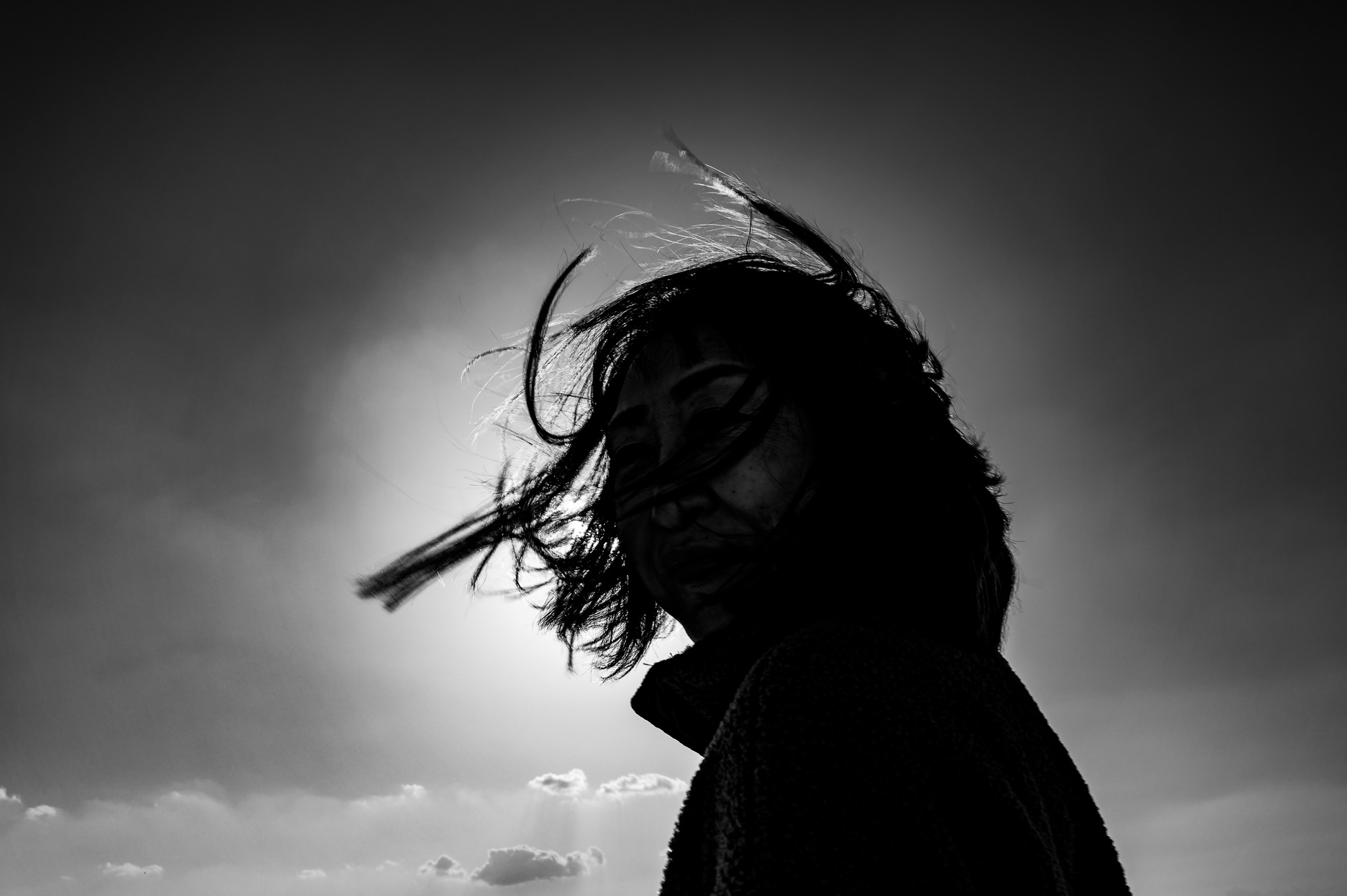 The wind draws a veil of hair across her face, and for a moment refuses to name her.
