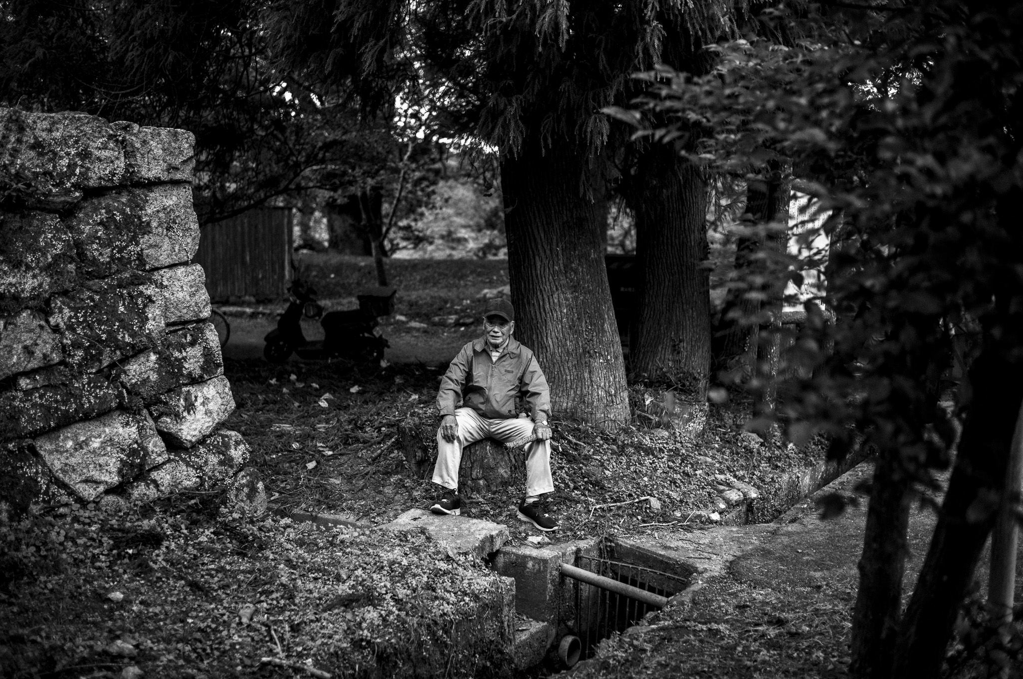 The forest has almost taken the wall back. He sits at exactly the edge it hasn't reached yet.